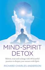 Mind–Spirit Detox – Reboot, reset and recharge with 40 beautiful practices to deepen your oneness with Spirit