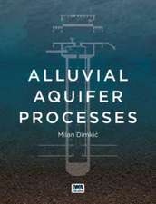 Alluvial Aquifer Processes