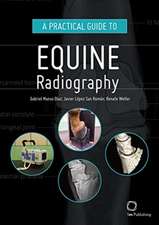 A Practical Guide to Equine Radiography