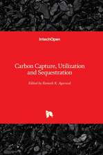 Carbon Capture, Utilization and Sequestration