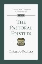 The Pastoral Epistles – An Introduction And Commentary