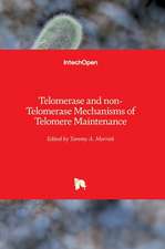 Telomerase and non-Telomerase Mechanisms of Telomere Maintenance