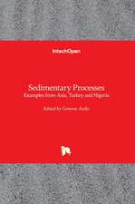 Sedimentary Processes