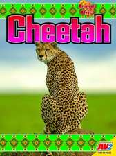 Cheetah