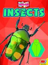 Insects