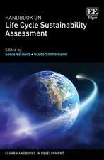 Handbook on Life Cycle Sustainability Assessment