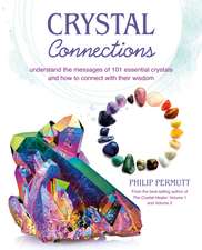 Crystal Connections: Understand the messages of 101 essential crystals and how to connect with their wisdom