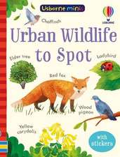 Nolan, K: Urban Wildlife to Spot
