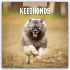 Keeshonds - Wolfsspitz 2025 - 16-Monatskalender