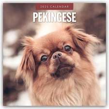 Pekingese - Pekinese - Peking Palasthund 2025 - 16-Monatskalender