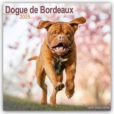 Avonside Publishing Ltd.: Dogue de Bordeaux - Bordeauxdoggen