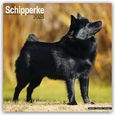 Schipperke 2025 - 16-Monatskalender