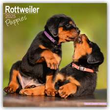 Rottweiler Puppies - Rottweiler Welpen 2025 - 16-Monatskalender