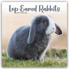 Avonside Publishing Ltd: Lop-eared Rabbits - Widderkaninchen