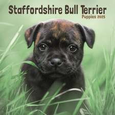 Staffordshire Bull Terrier Puppies Square Mini Calendar 2025