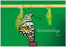 Schmetterlinge 2025 S 24x35cm