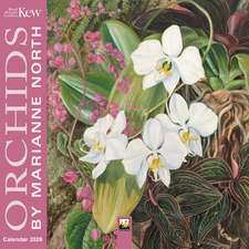 Kew Gardens: Orchids by Marianne North Mini Wall Calendar 2026 (Art Calendar)