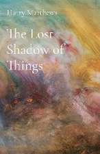 The Lost Shadow of Things