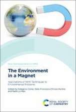 Environment in a Magnet