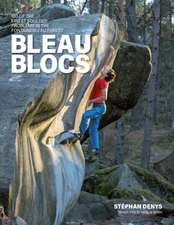 Bleau Blocs