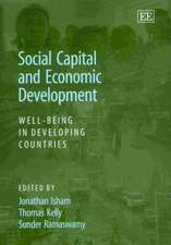 Social Capital and Economic Development – Well–being in Developing Countries