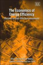 The Economics of Energy Efficiency