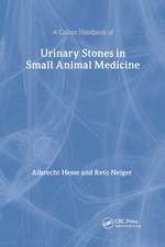 Urinary Stones in Small Animal Medicine