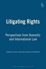 Litigating Rights: Perspectives from Domestic and International Law