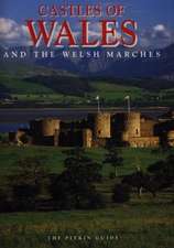 Cook, D: Castles of Wales