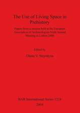 The Use of Living Space in Prehistory