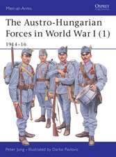 The Austro-Hungarian Forces in World War I (1): 1914–16