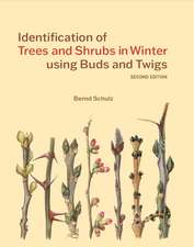Identification of Trees & Shrubs in Winter Using Buds and Twigs, Second Edition