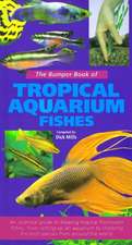 The Bumper Book of Tropical Aquarium Fishes