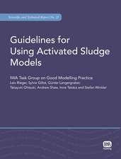 Guidelines for Using Activated Sludge Models