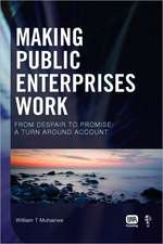 Making Public Enterprises Work