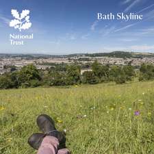Bath Skyline