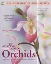 The Amazing World of Orchids