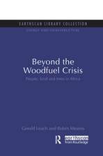 Beyond the Woodfuel Crisis: People, land and trees in Africa