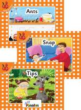 Jolly Phonics Orange Level Readers Set 1