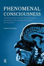 Phenomenal Consciousness: Understanding the Relation Between Experience and Neural Processes in the Brain