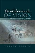 Bewilderments of Vision: Hallucination and Literature, 1880-1914