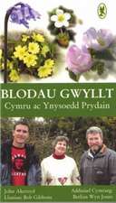 Blodau Gwyllt Cymru ac Ynysoedd Prydain