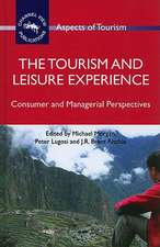 The Tourism and Leisure Experience: Consumer and Managerial Perspectives