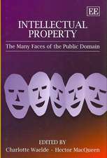 Intellectual Property – The Many Faces of the Public Domain