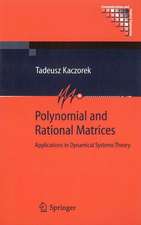 Polynomial and Rational Matrices: Applications in Dynamical Systems Theory