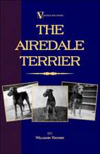 The Airedale Terrier