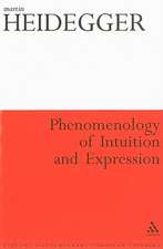 Phenomenology of Intuition and Expression