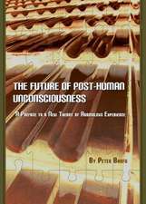 The Future of Post-Human Unconsciousness: A Preface to a New Theory of Anomalous Experience