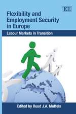 Flexibility and Employment Security in Europe – Labour Markets in Transition