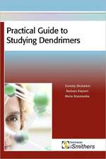 Practical Guide to Studying Dendrimers